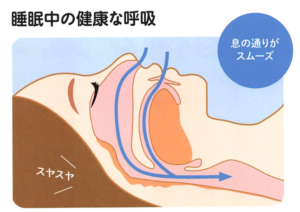 睡眠中の健康な呼吸